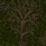 treeplain.png