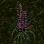 cropwolfsbane.png
