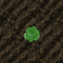 cropcabbage.png