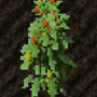 croptomatos.png