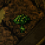 cropgreencap.png