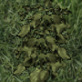 cropalbenivy.png