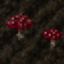cropflyagaric.png