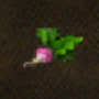 itemturnip.png